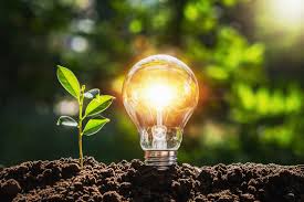 Energising Citrus & Rosehip Oil – Handcrafted Aromatherapy - 15ml Roll-On