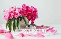 Hormone Harmony: Handcrafted Aromatherapy Support - 15ml Roll-On